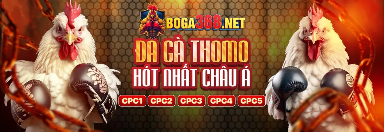Sân đá gà tt3979 trực tuyến với các chiến kê dũng mãnh